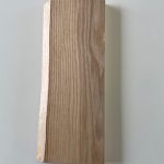 SH0010